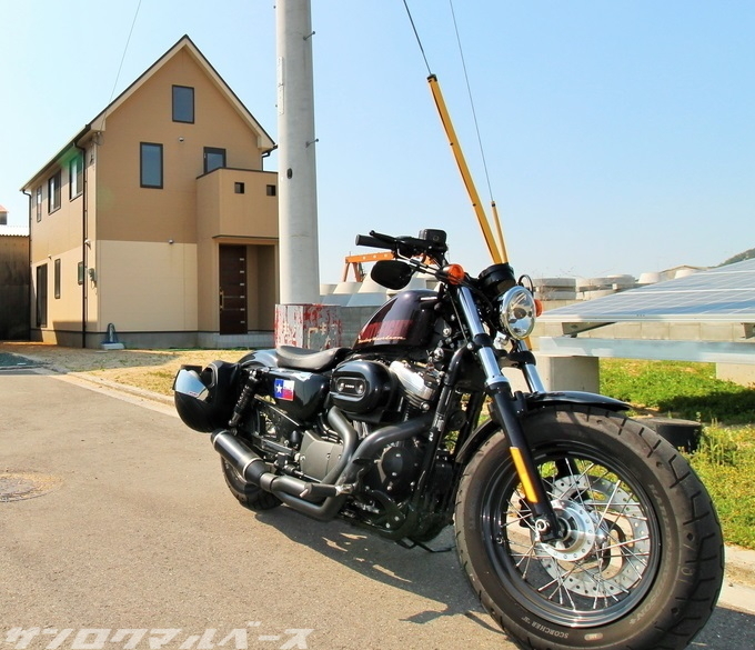 IMG_524600.jpg